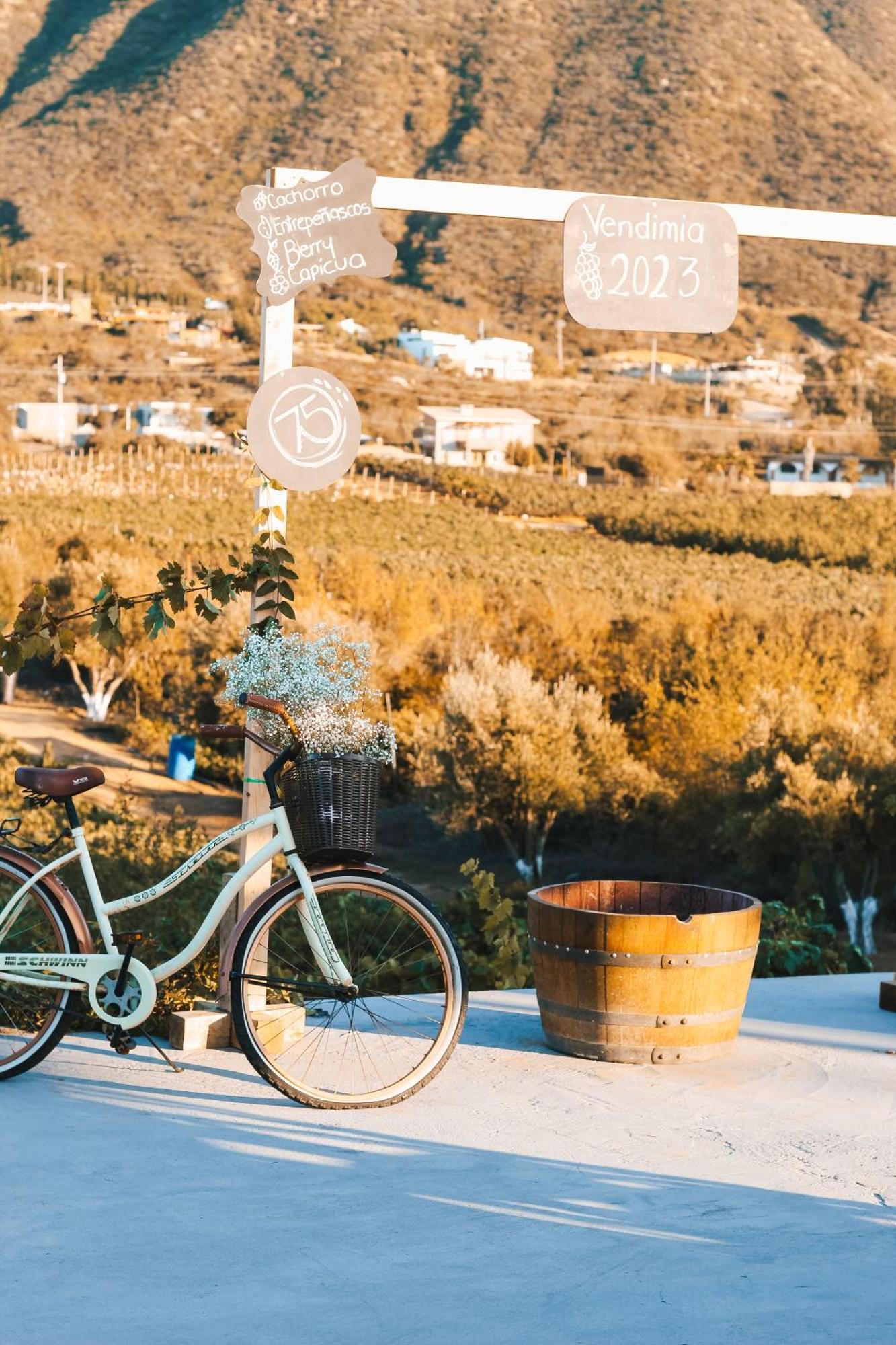 Origen75 Loft - Villas - Skypool - Vinedo, Valle De Guadalupe Luaran gambar