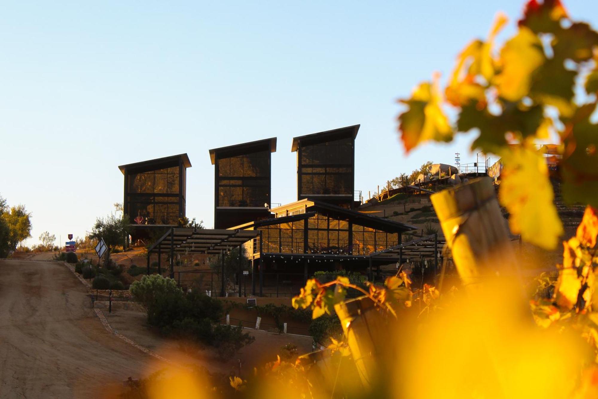 Origen75 Loft - Villas - Skypool - Vinedo, Valle De Guadalupe Luaran gambar